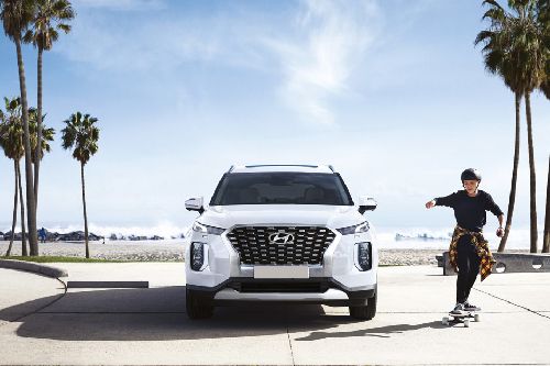 Full Front View of Palisade